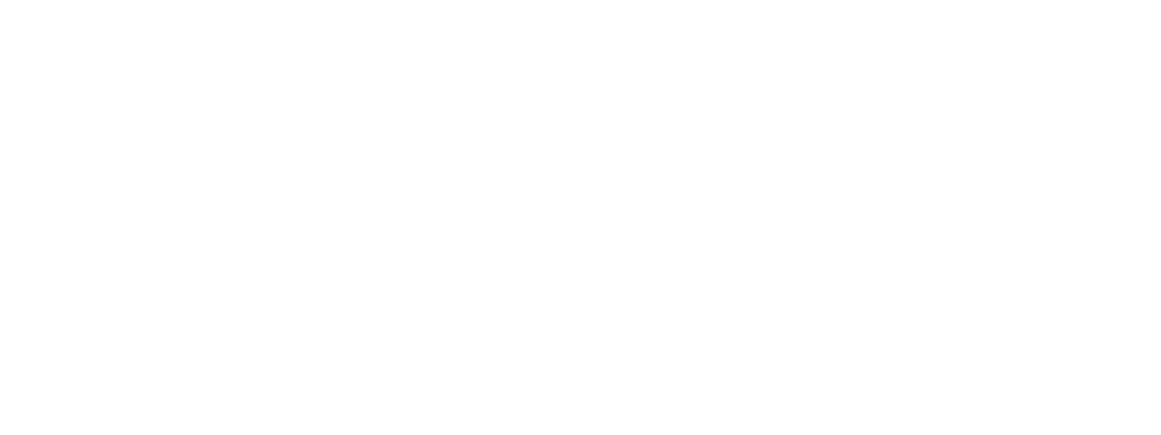 dutch way logo