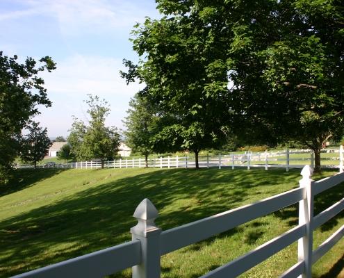 post and rail fencing