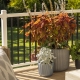 White vinyl deck railing with black balusters
