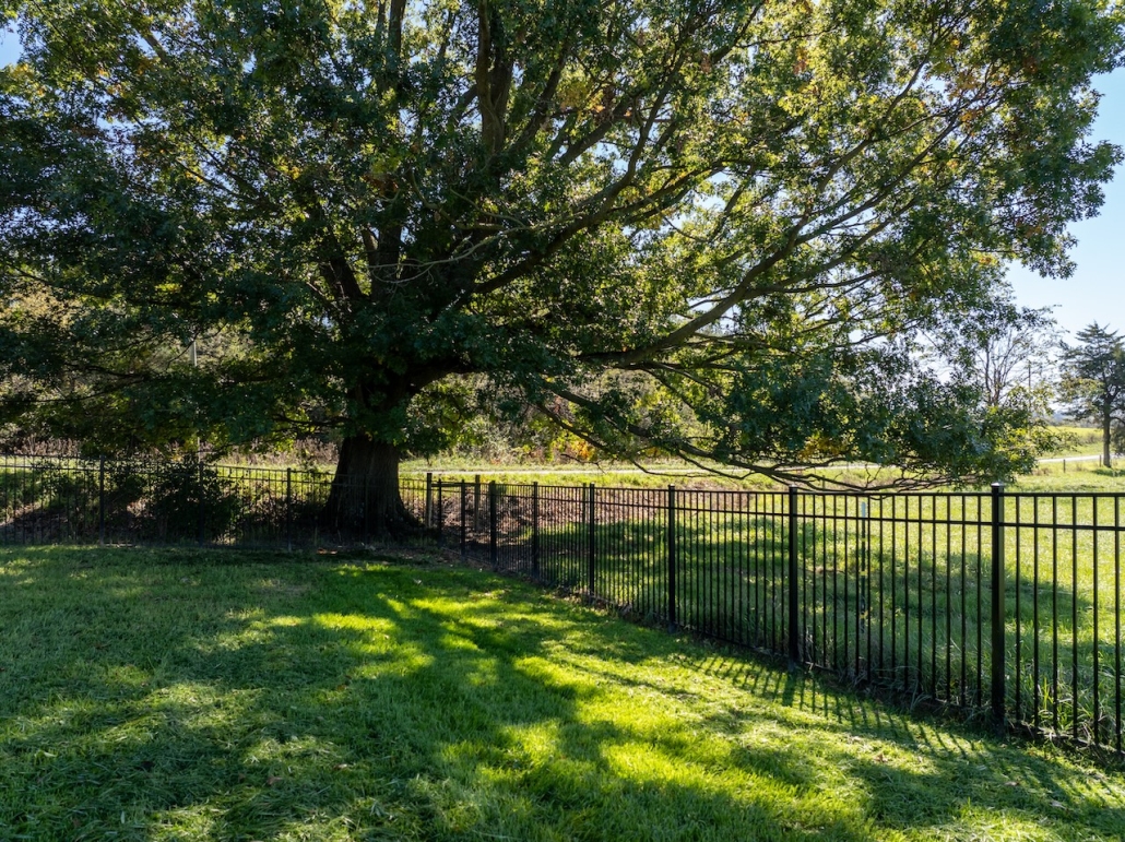 default Aluminum fence in a yard with a large oak tree.